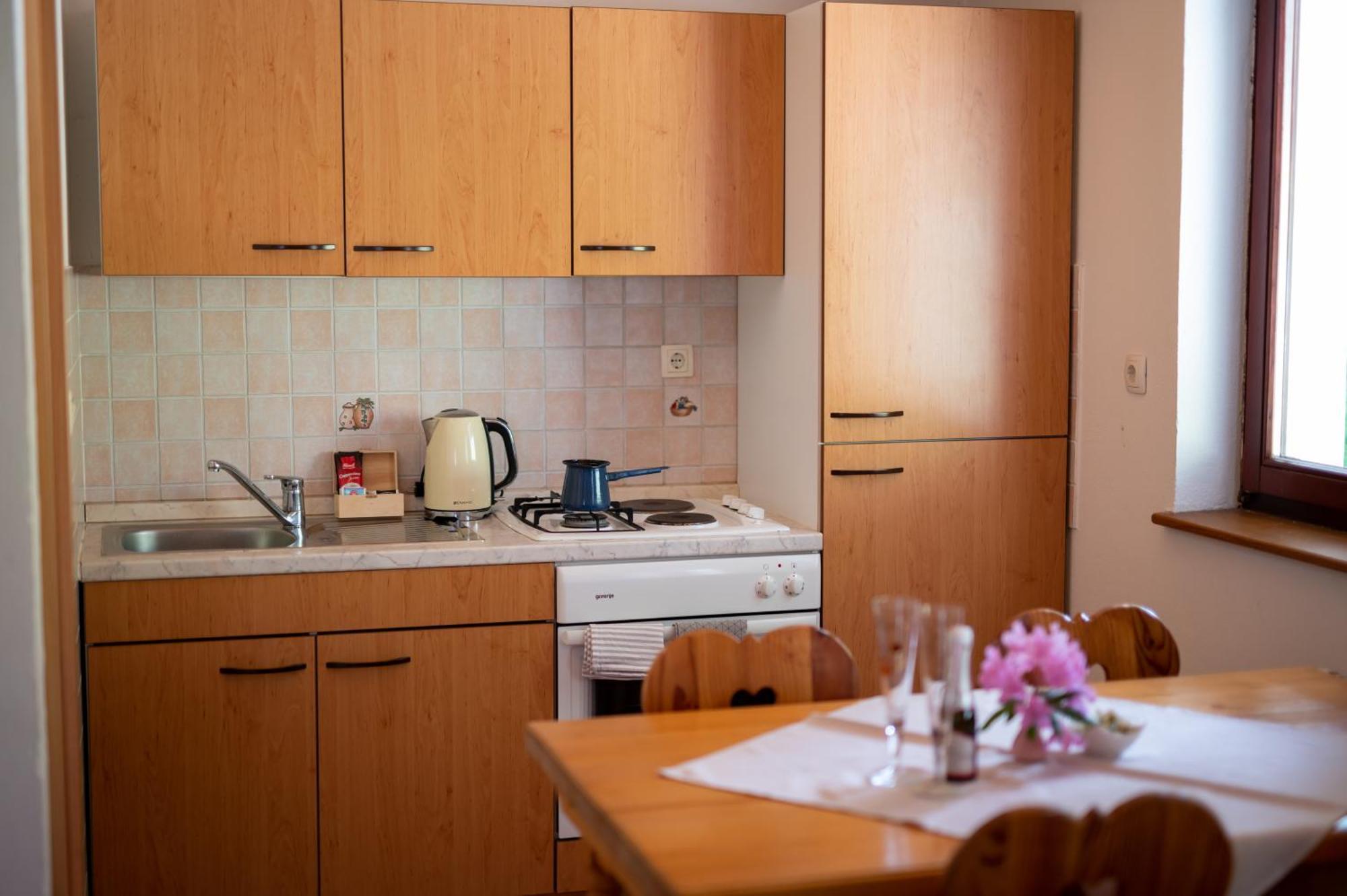 Domacija Za Robom Apartment Cerkno Room photo