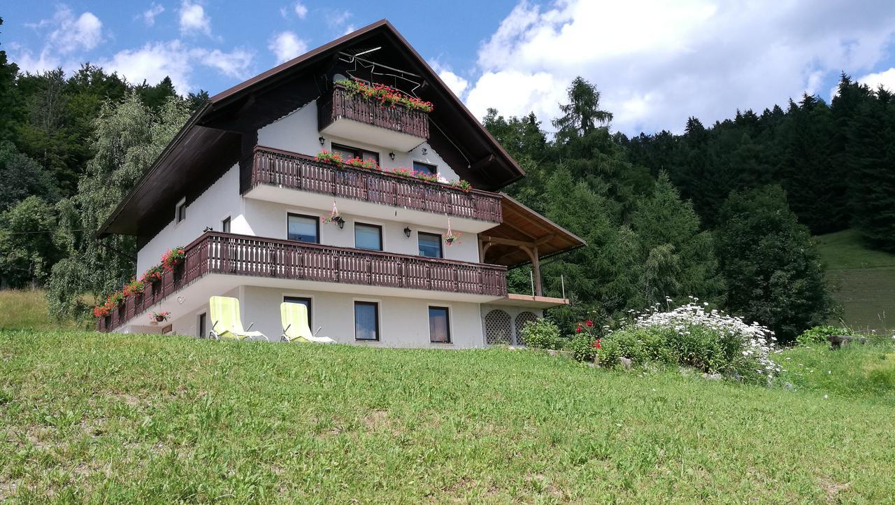 Domacija Za Robom Apartment Cerkno Exterior photo